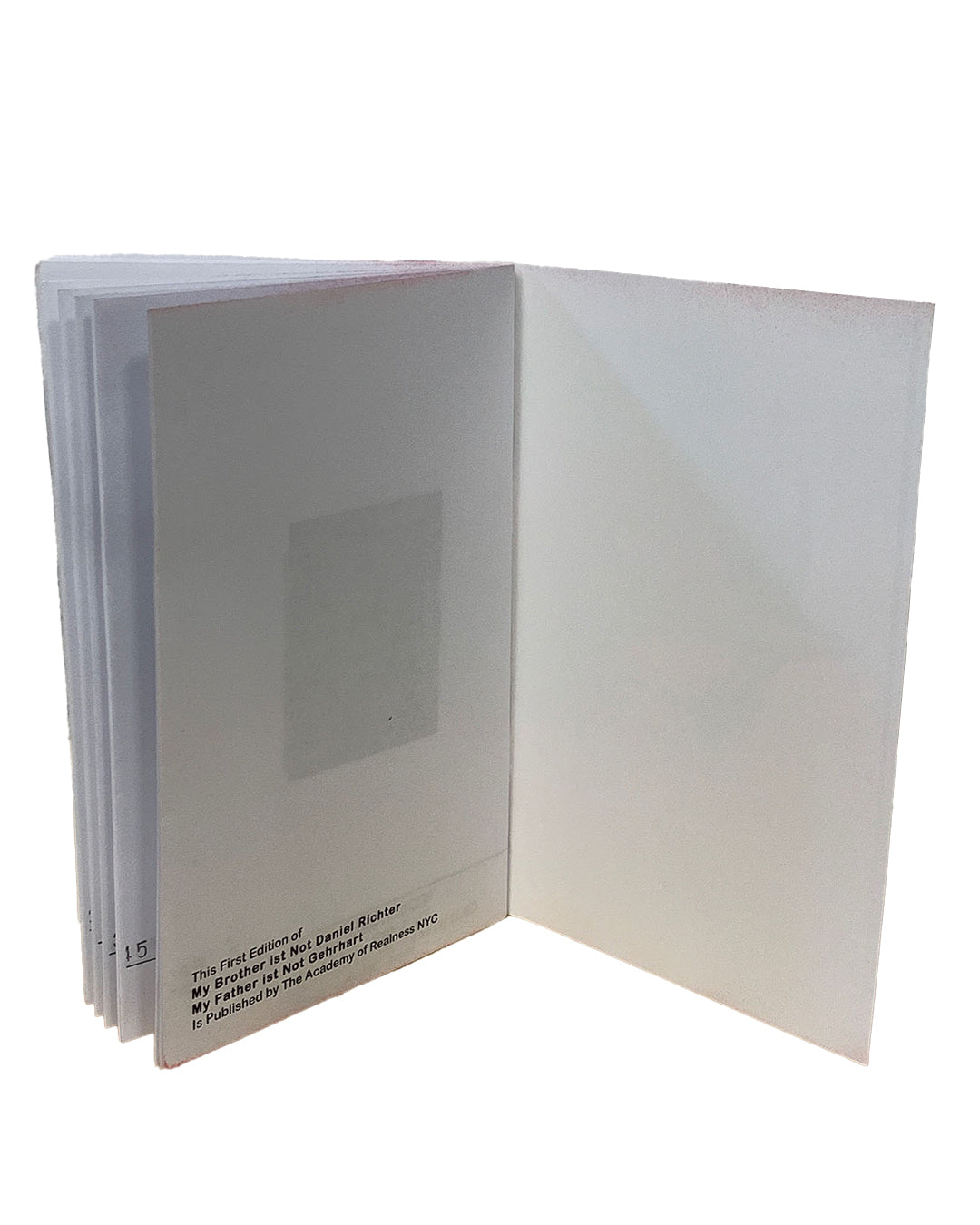 Colophon page open; text reads 'This First Edition of My Brother Ist Not Daniel Richter / My Father Ist Not Gehrhart / Catherine Holly 2014 / Is Published by The Academy of Realness NYC'; multiple folded pages visible at spine