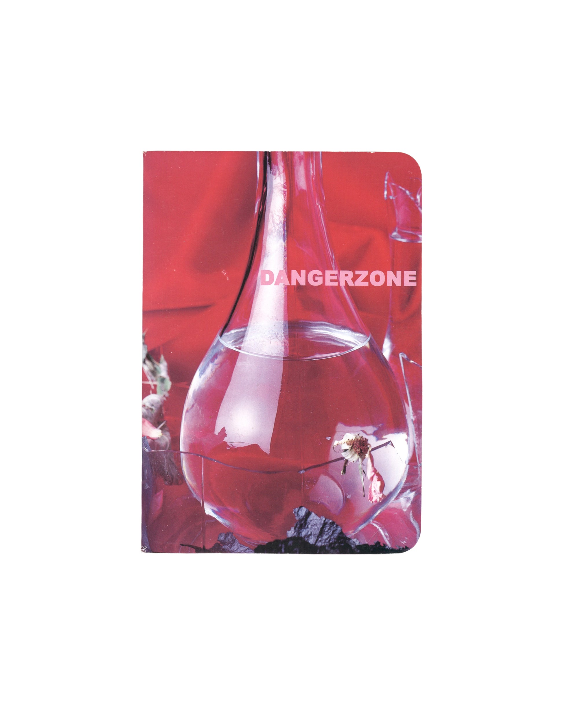 Anne & Patrick Poirier, Dangerzone, 2004, front cover: red ground, glass vessel with flower, DANGERZONE title in pink