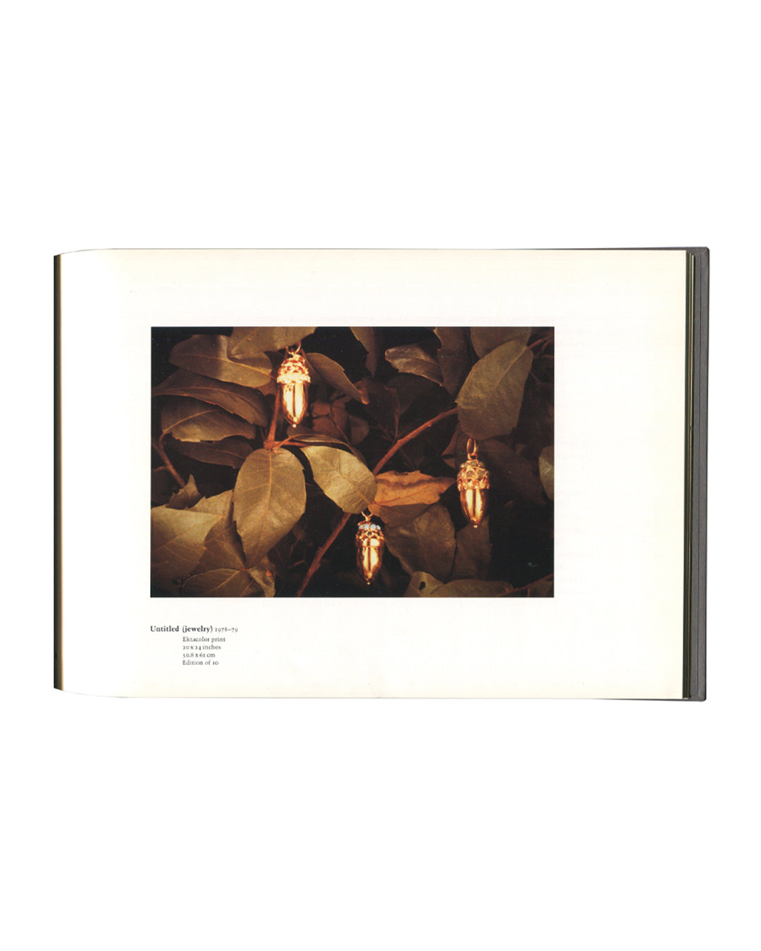Richard Prince, Early Photographs 1977–1979, interior page. Untitled (jewelry), 1977–78. Ektacolor print, 20 × 24 inches, 50.8 × 61 cm, edition of 10. Colour photograph of three ornate gold pendant earrings or charms, rephotographed from a jewellery advertisement, arranged among dark autumn leaves. Skarstedt Fine Art, New York, 2001.
