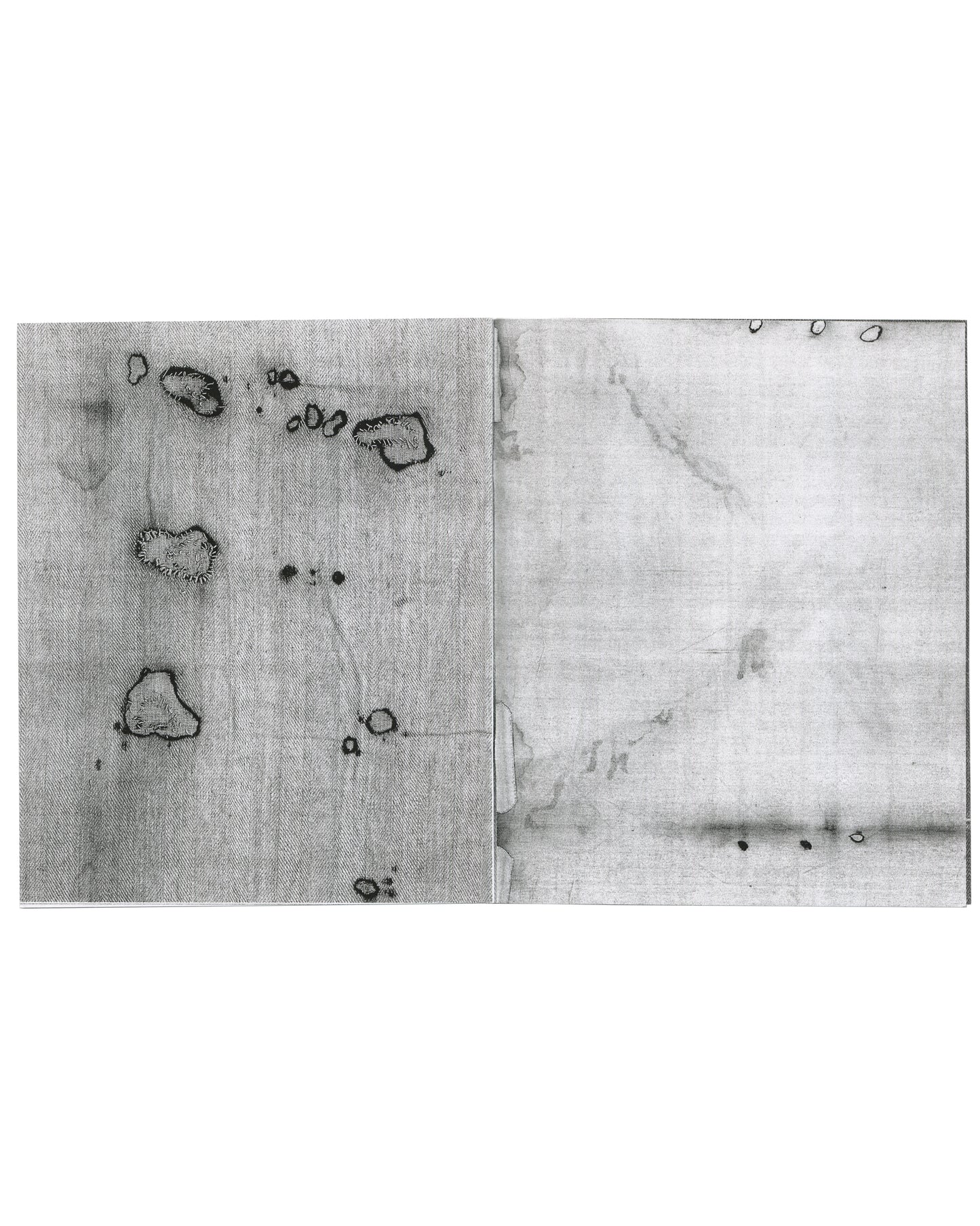 Richard Prince / Howard Johnson, The Pope's Butler, 2012, interior: two b&w images of stained, burnt and repaired cloth
