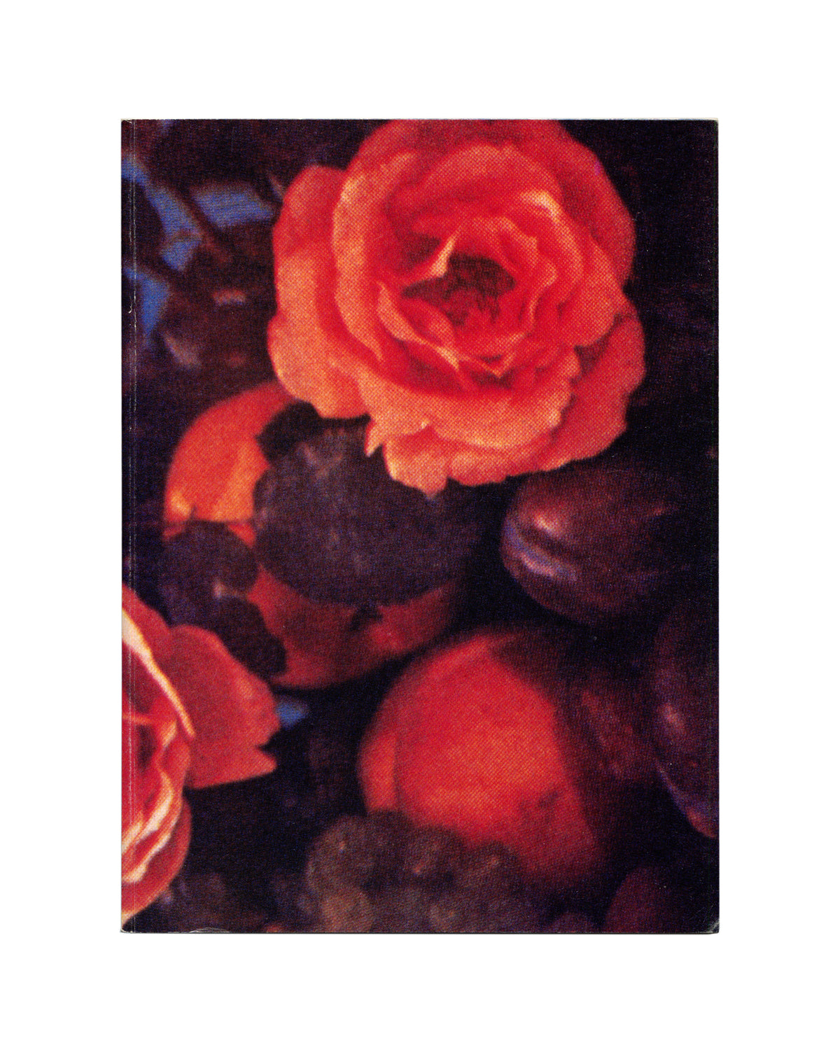 Richard Prince, Barbara Gladstone Gallery 1988, front cover: close-up red rose and dark stones, full-bleed colour
