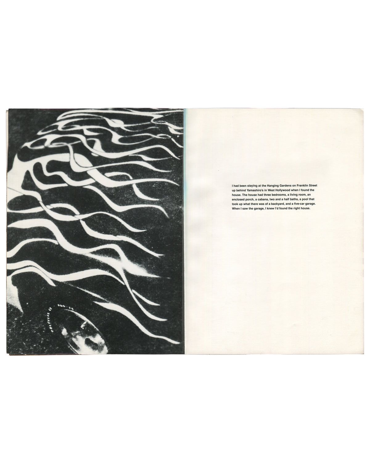 Richard Prince 1988, interior: b&w abstract wave pattern left; prose text about West Hollywood house right
