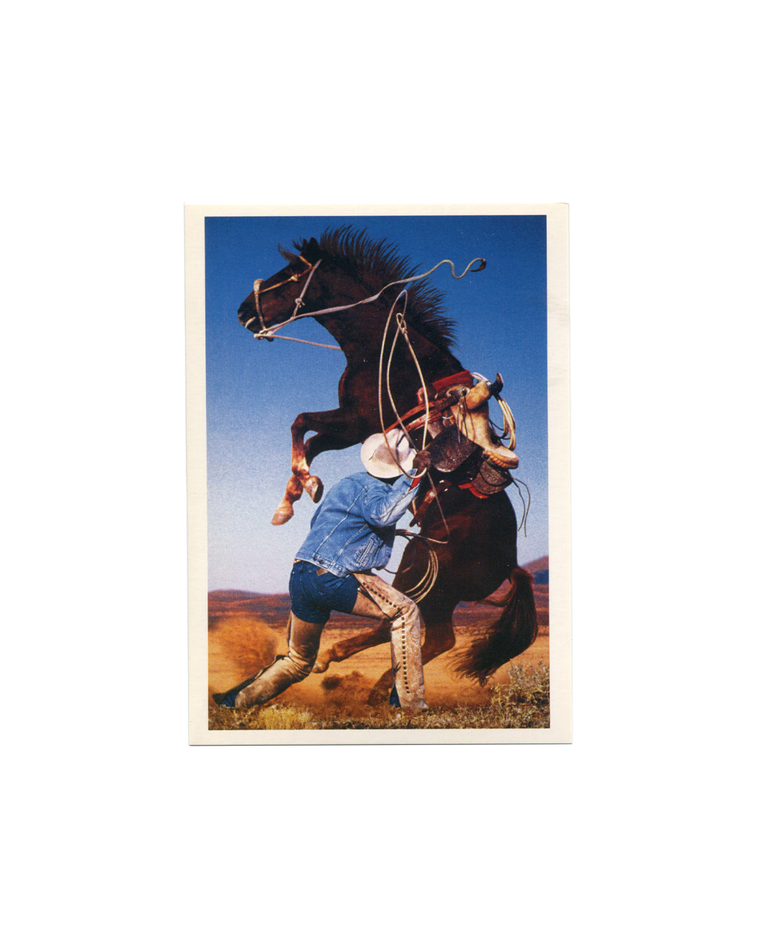 Postcard recto, Richard Prince, Untitled (cowboy), 1997–98, Solomon R. Guggenheim Museum, New York, 2007. Offset colour reproduction on cream card. Full-bleed vertical image — cowboy in denim jacket, white hat, leather chaps and boots wrestling a rearing dark horse by the reins; lasso trailing; arid desert landscape and deep blue sky behind. Ektacolor photograph, edition of 2, 60 × 40 inches. Light handling only, very good condition.