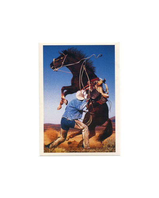 Postcard recto, Richard Prince, Untitled (cowboy), 1997–98, Solomon R. Guggenheim Museum, New York, 2007. Offset colour reproduction on cream card. Full-bleed vertical image — cowboy in denim jacket, white hat, leather chaps and boots wrestling a rearing dark horse by the reins; lasso trailing; arid desert landscape and deep blue sky behind. Ektacolor photograph, edition of 2, 60 × 40 inches. Light handling only, very good condition.