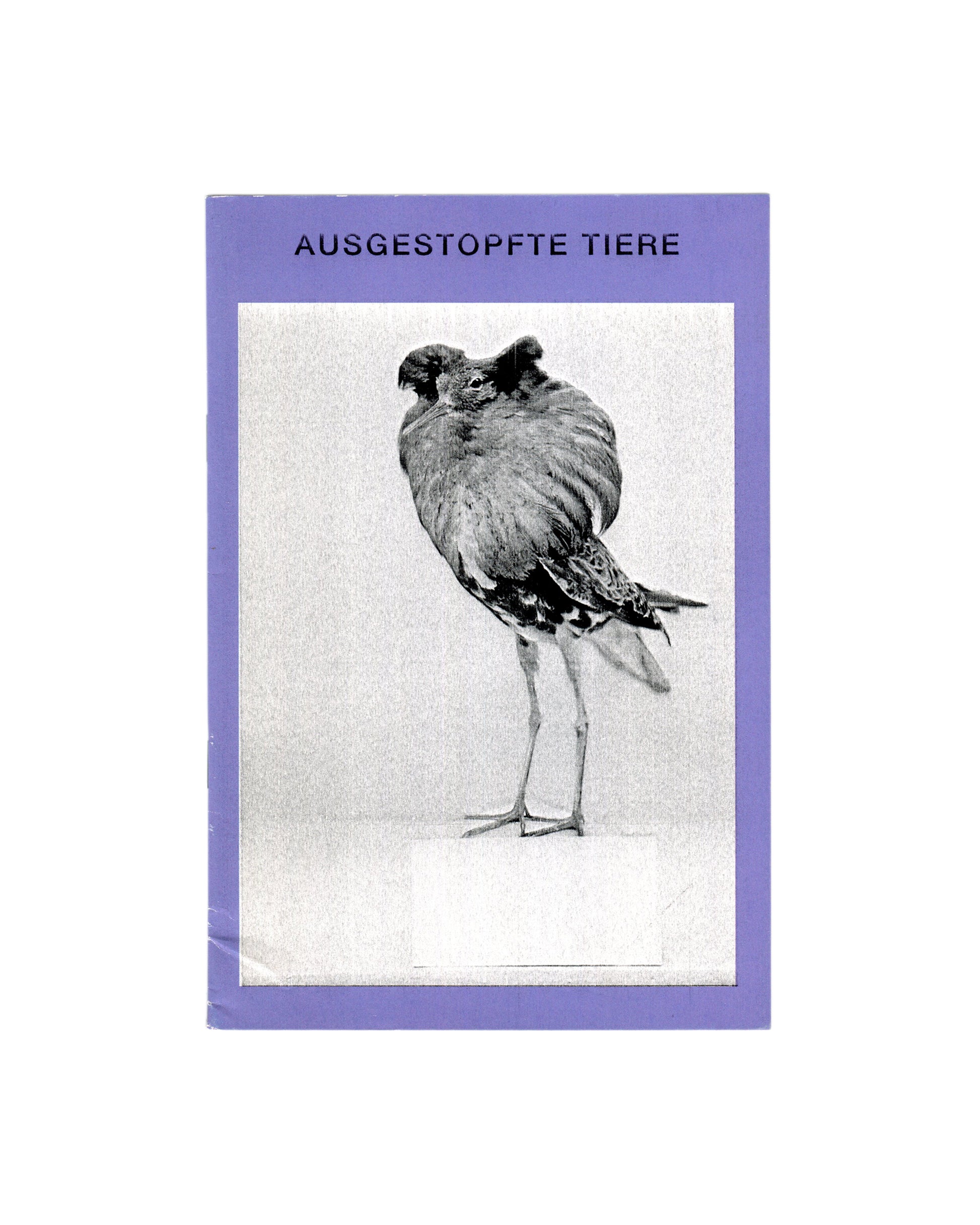 Guadalupe Ruiz, Ausgestopfte Tiere, Turbo Magazine No. 47, 2013, front cover: purple, b&w ruff bird specimen, bold title