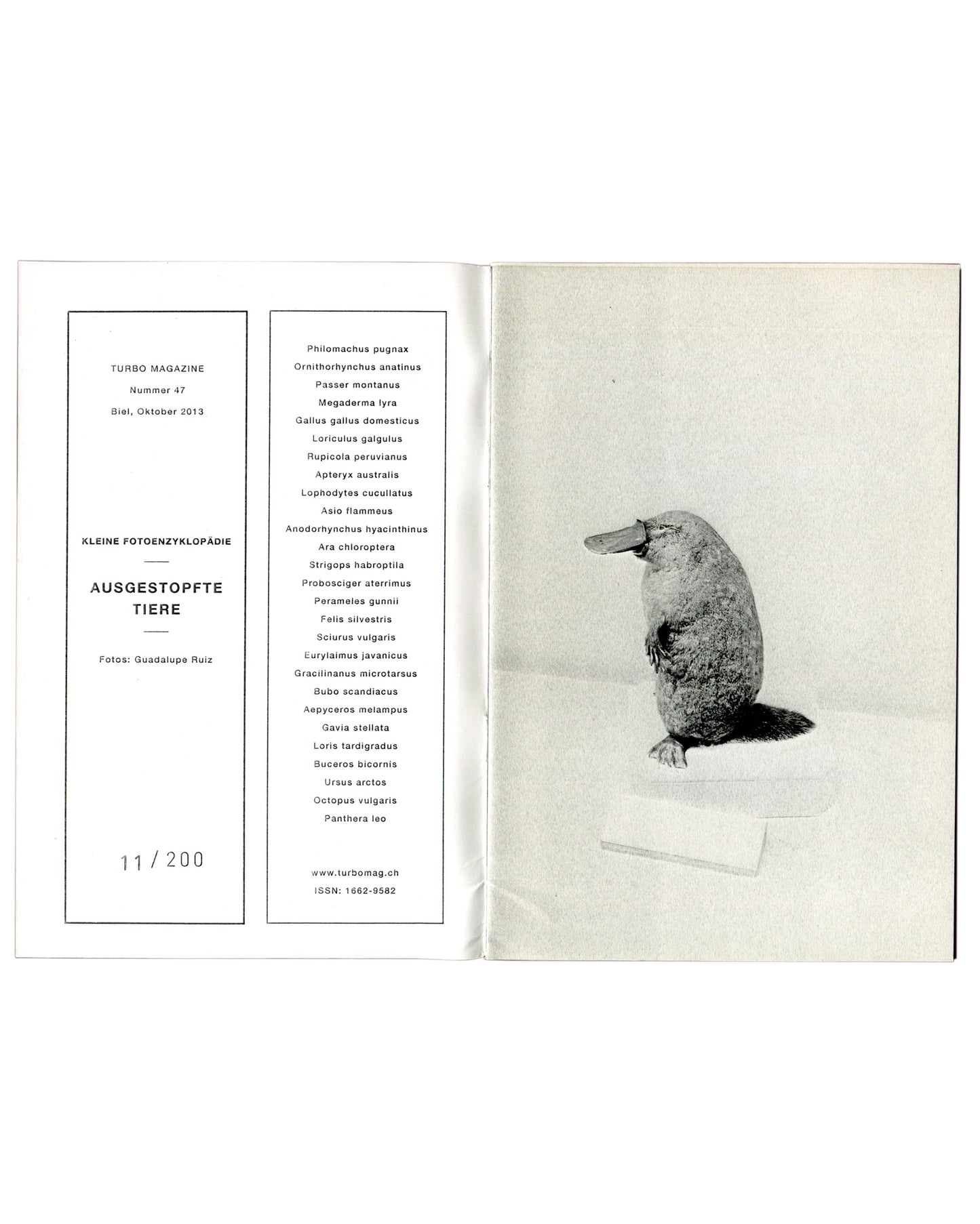 Guadalupe Ruiz, Ausgestopfte Tiere, 2013, interior: colophon with Latin species list, numbered 11/200 left; platypus specimen right
