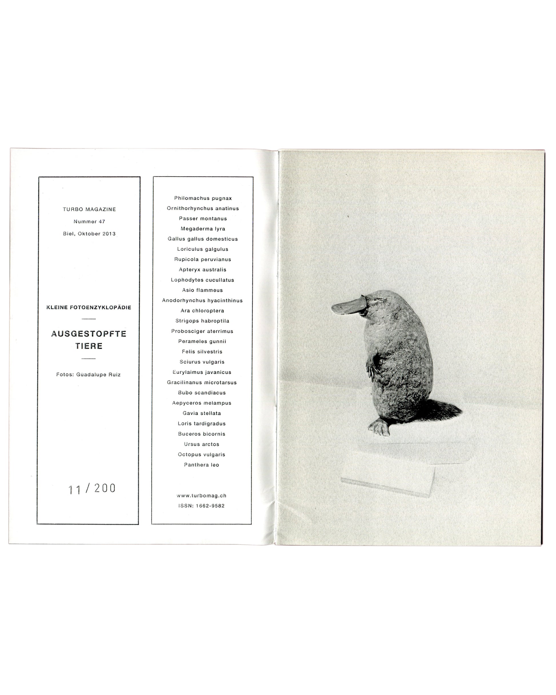 Guadalupe Ruiz, Ausgestopfte Tiere, 2013, interior: colophon with Latin species list, numbered 11/200 left; platypus specimen right
