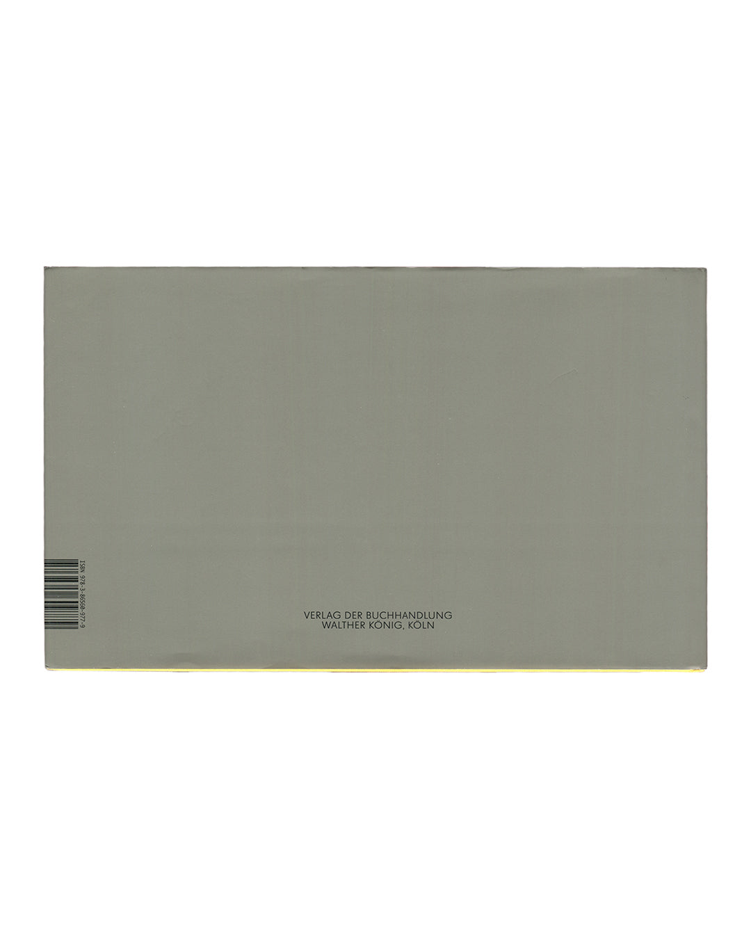 Gregor Schneider, Double, Walther König 2011, back dust jacket, plain grey-green ground, Walther König Köln imprint, barcode 