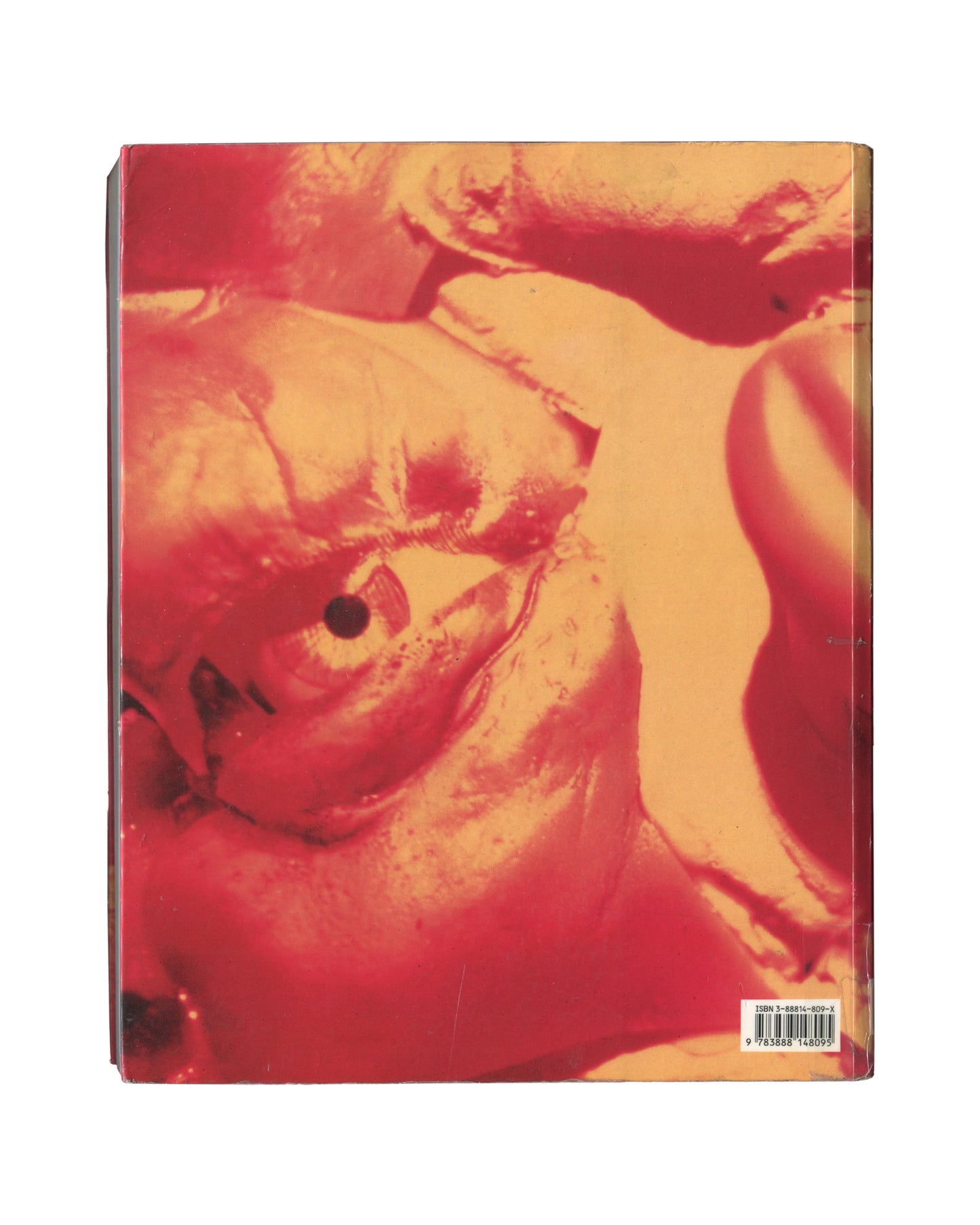 Cindy Sherman, Photographic Work 1975–1995, Schirmer/Mosel 1995, back cover: extreme close-up colour image — red and yellow fleshy abstract surface, distorted face fragment; ISBN barcode lower right; heavy fading from ex-library use