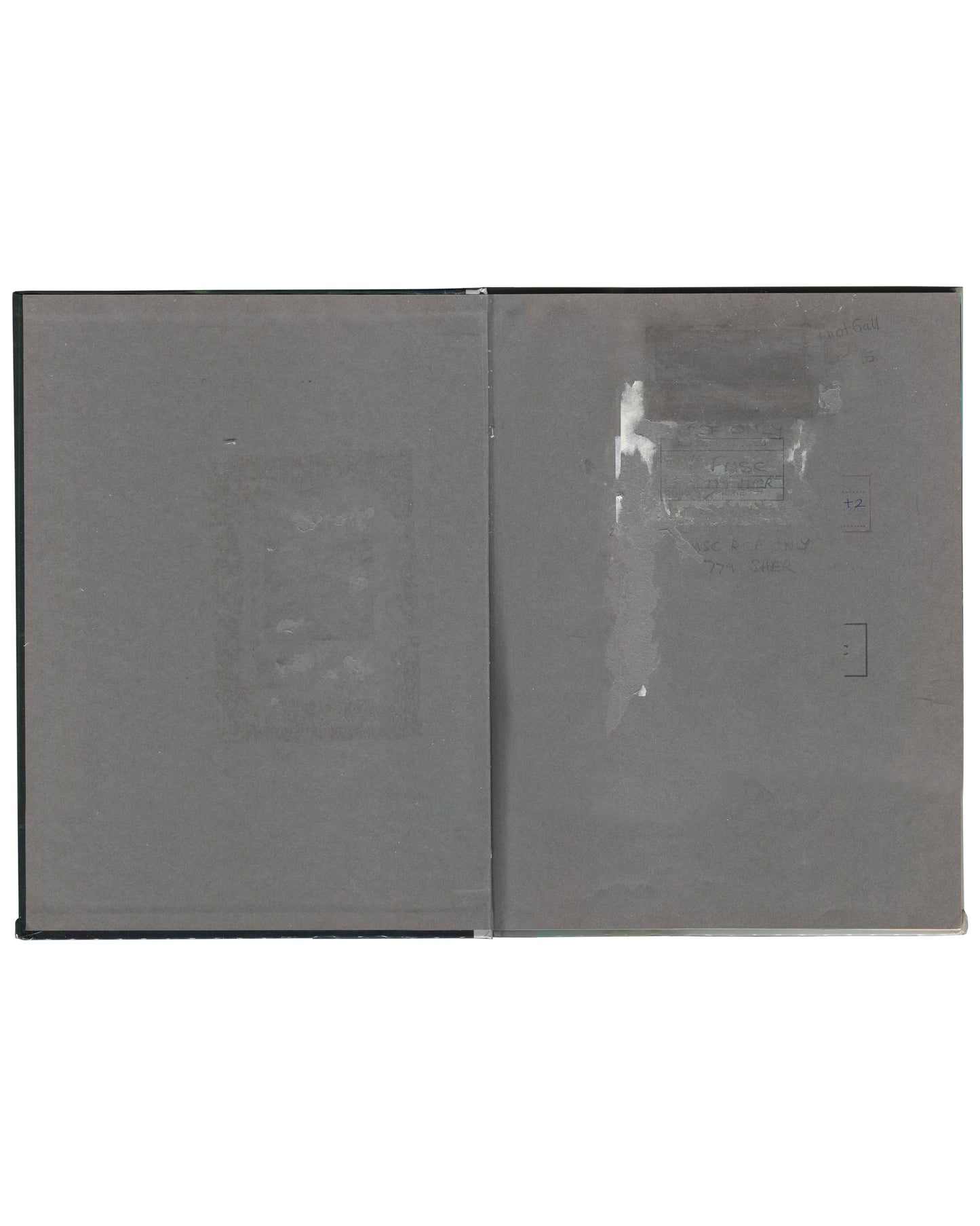 Cindy Sherman, Specimens, Art Random 65, 1991, interior rear endpaper: grey, adhesive residue and removed library label traces visible on right-hand page
