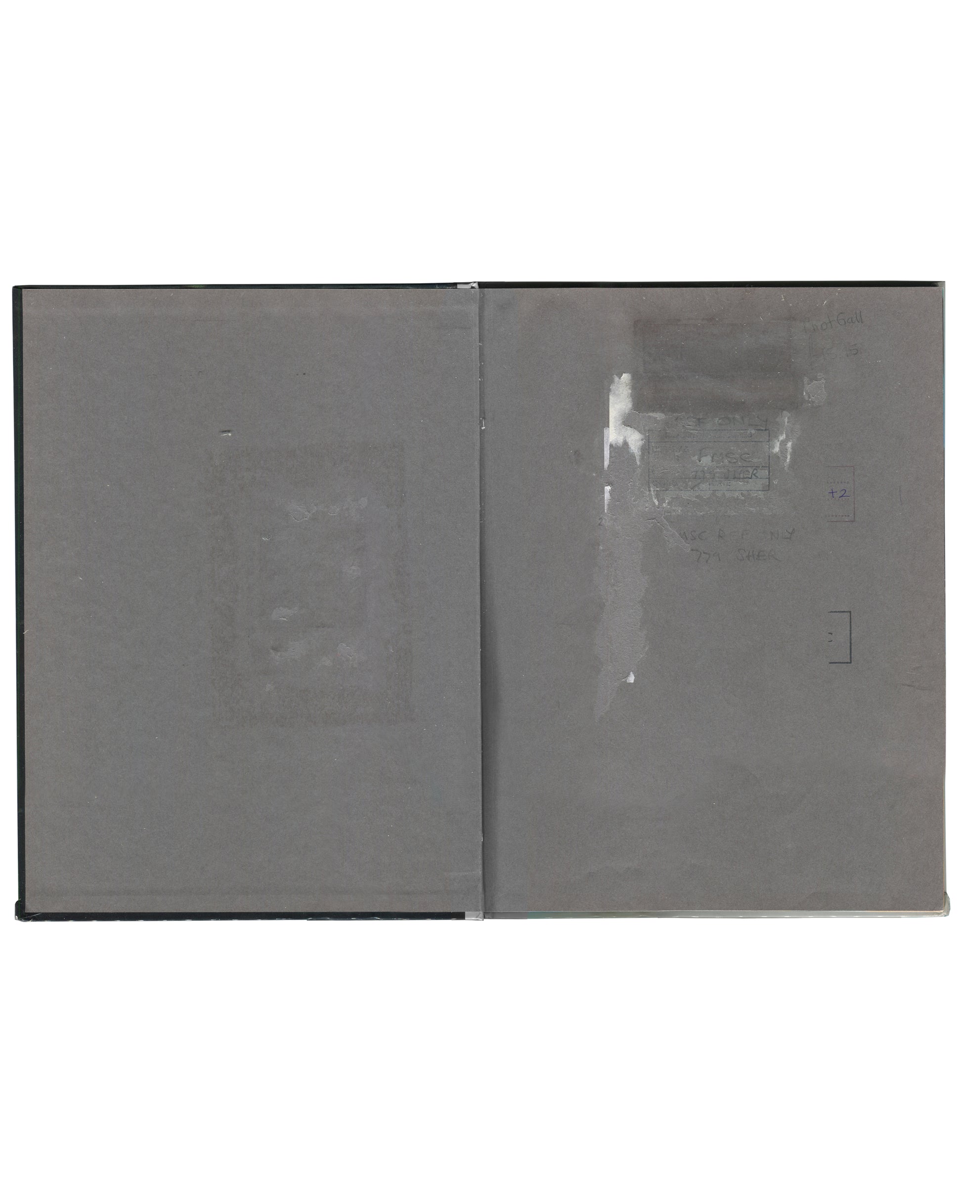 Cindy Sherman, Specimens, Art Random 65, 1991, interior rear endpaper: grey, adhesive residue and removed library label traces visible on right-hand page
