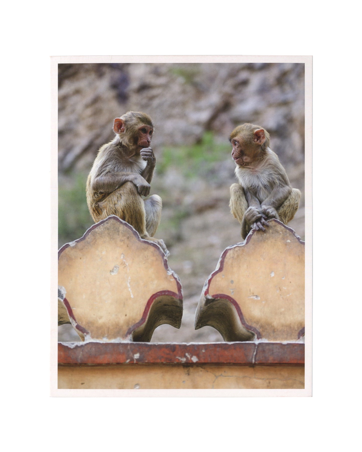 Original 2015 Hauser & Wirth exhibition invitation for Diana Thater, Life Is a Time-Based Medium, London, front, colour photograph: two young rhesus macaques facing each other on an ornate pale stone parapet with scalloped coping, one with hand raised to mouth, against a soft-focus rocky and green background.
