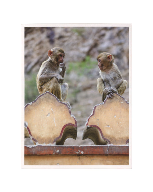 Original 2015 Hauser & Wirth exhibition invitation for Diana Thater, Life Is a Time-Based Medium, London, front, colour photograph: two young rhesus macaques facing each other on an ornate pale stone parapet with scalloped coping, one with hand raised to mouth, against a soft-focus rocky and green background.