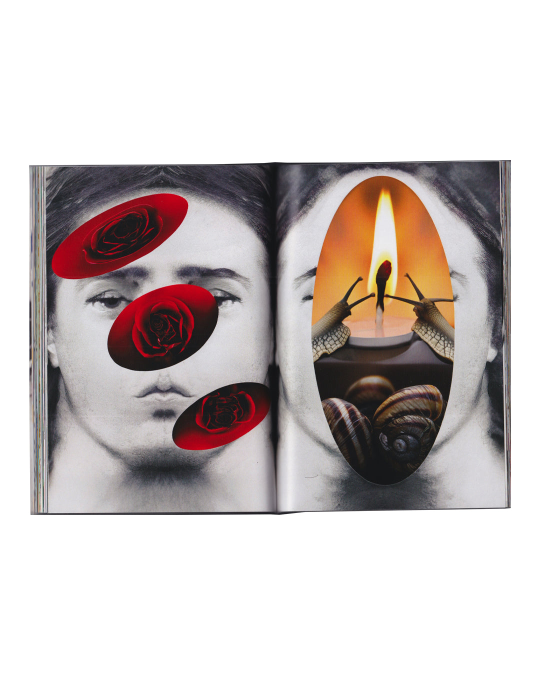 Rafael Melendez, The Naked Lunch, 2023 — interior spread; continuous black-and-white portrait of a young androgynous face across both pages; left page overlaid with three red rose collage elements in oval frames; right page overlaid with a lit candle and two snails in an oval frame