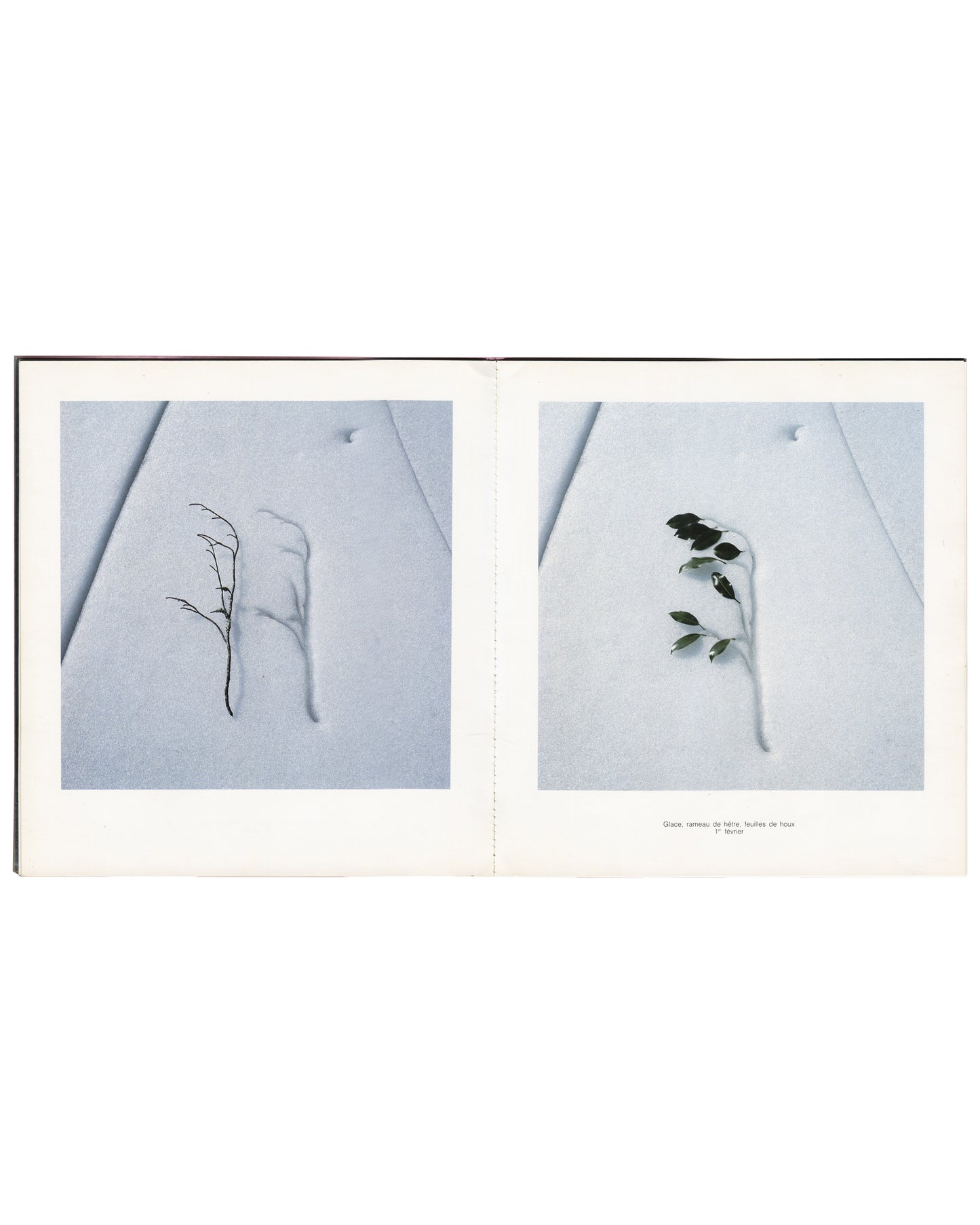 Nils-Udo, Deux Saisons, interior spread: bare twig and leafed branch on snow, winter 1987