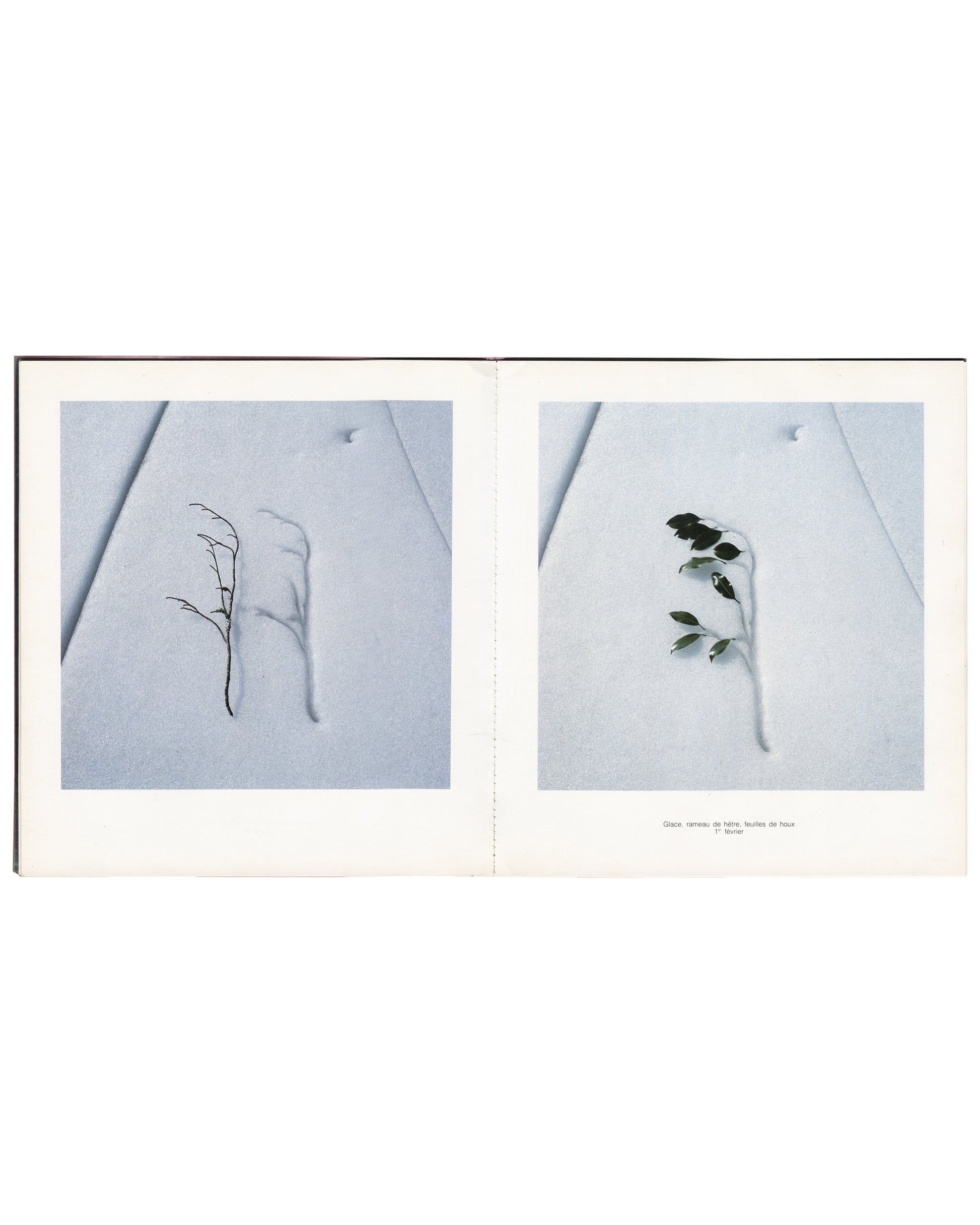 Nils-Udo, Deux Saisons, interior spread: bare twig and leafed branch on snow, winter 1987