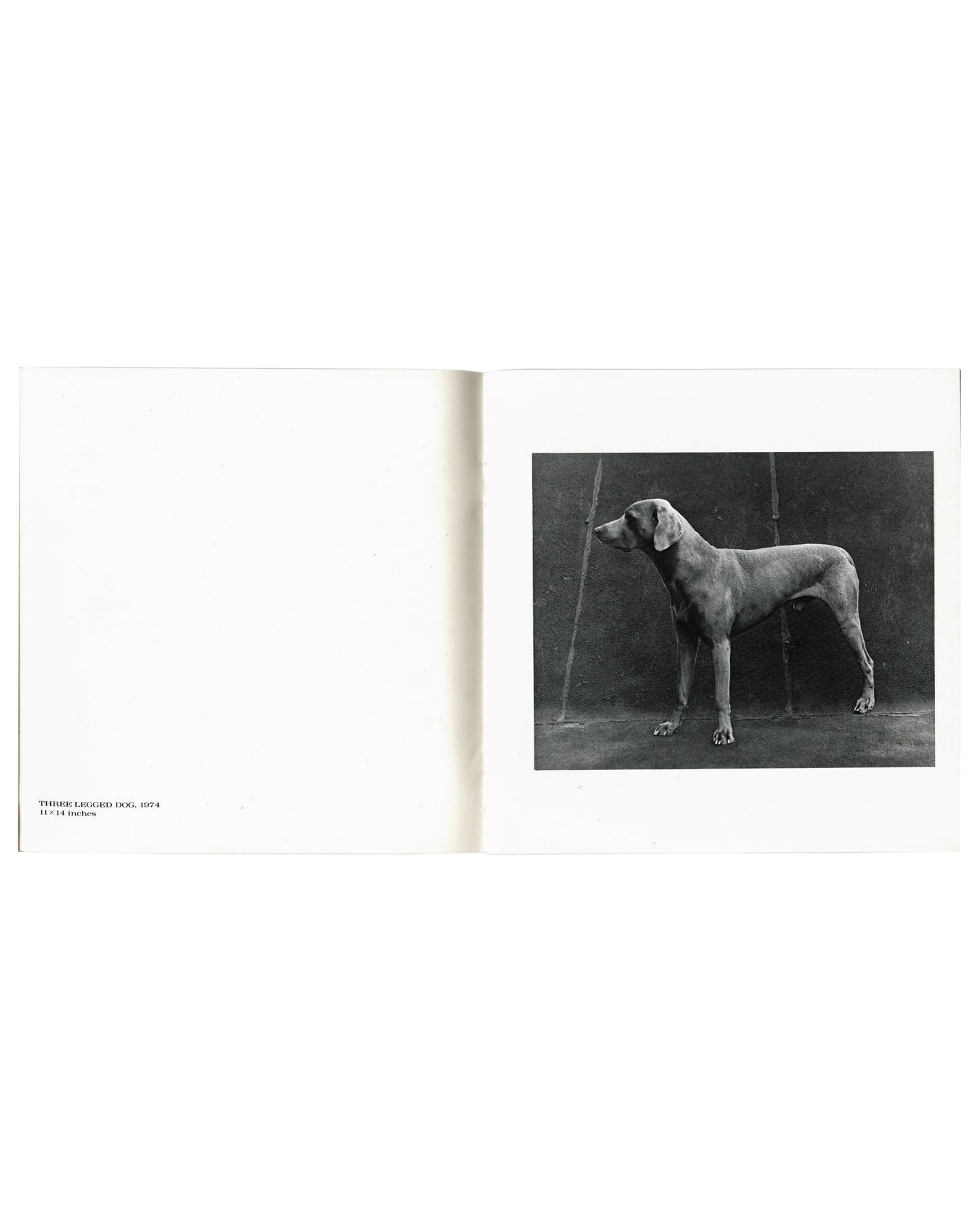 Interior spread, William Wegman, New Paintings, Polaroids and Drawings, Holly Solomon Gallery & Pace/MacGill Gallery, New York, 1991. Left page: blank white with caption lower left — 'THREE LEGGED DOG, 1974 / 11 × 14 Inches'. Right page: black-and-white photograph — Weimaraner dog standing in profile against dark studio background; three legs visible, fourth absent; studio props visible behind.

