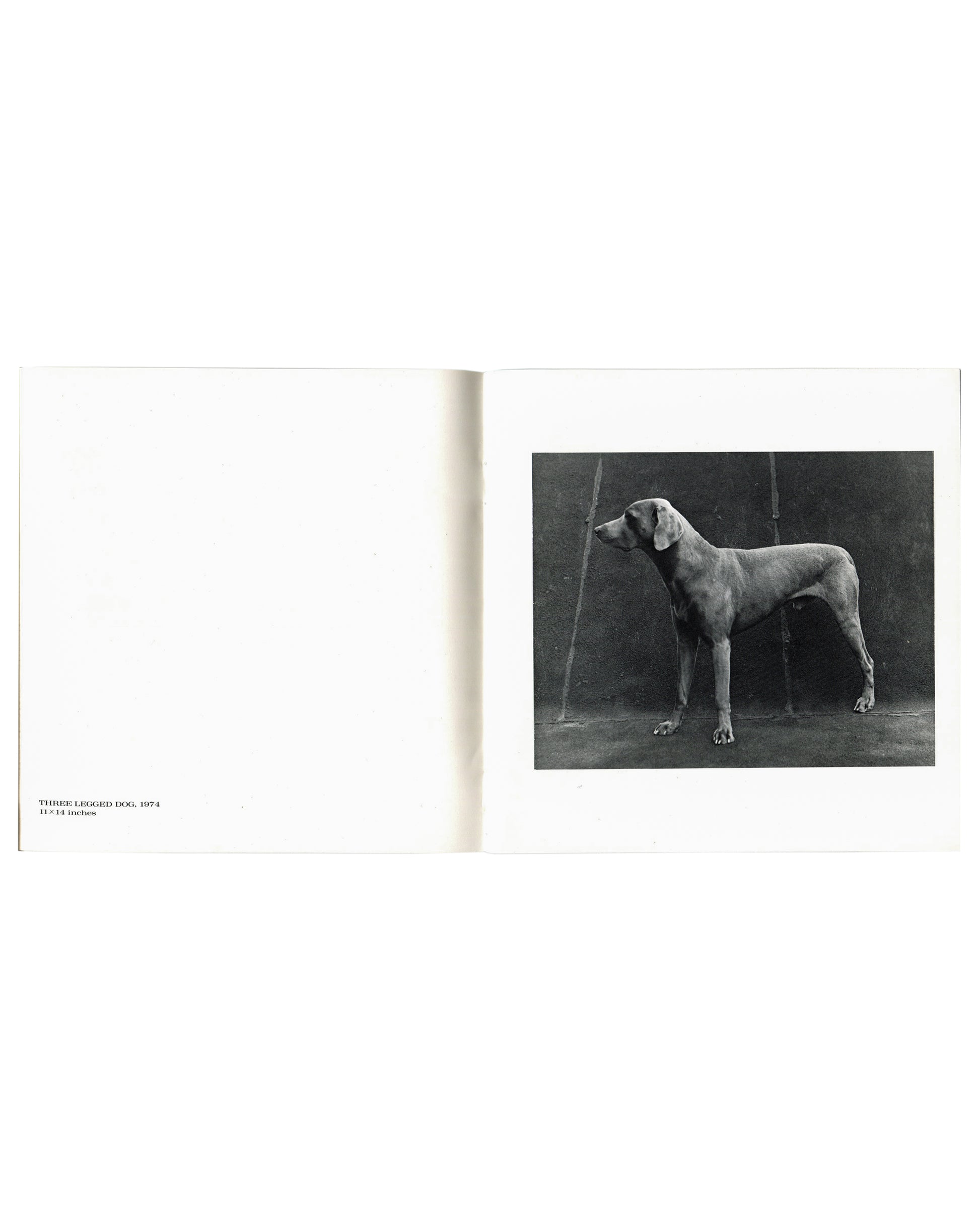 Interior spread, William Wegman, New Paintings, Polaroids and Drawings, Holly Solomon Gallery & Pace/MacGill Gallery, New York, 1991. Left page: blank white with caption lower left — 'THREE LEGGED DOG, 1974 / 11 × 14 Inches'. Right page: black-and-white photograph — Weimaraner dog standing in profile against dark studio background; three legs visible, fourth absent; studio props visible behind.

