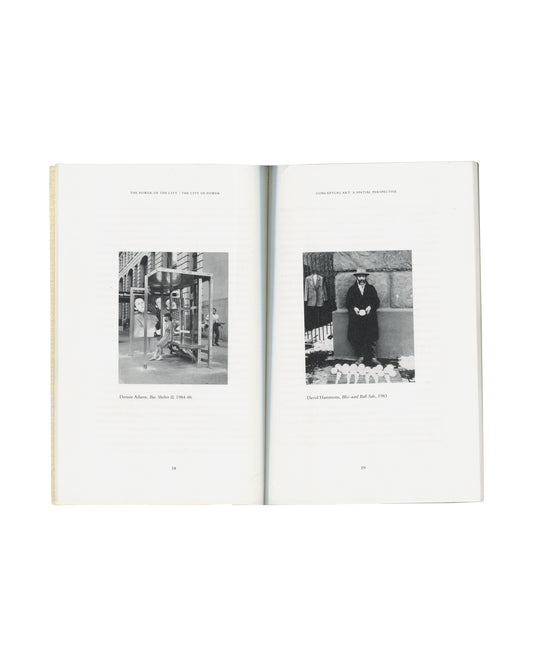 The Power of the City, Whitney ISP, 1992, pp. 18–19, Dennis Adams, Bus Shelter II, 1984–86; David Hammons, Bliz-aard Ball Sale, 1983, black-and-white