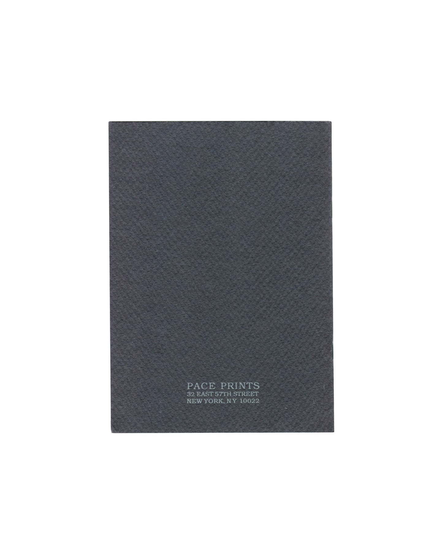 TERRY WINTERS — Field Notes, Pace Prints, New York, 1992