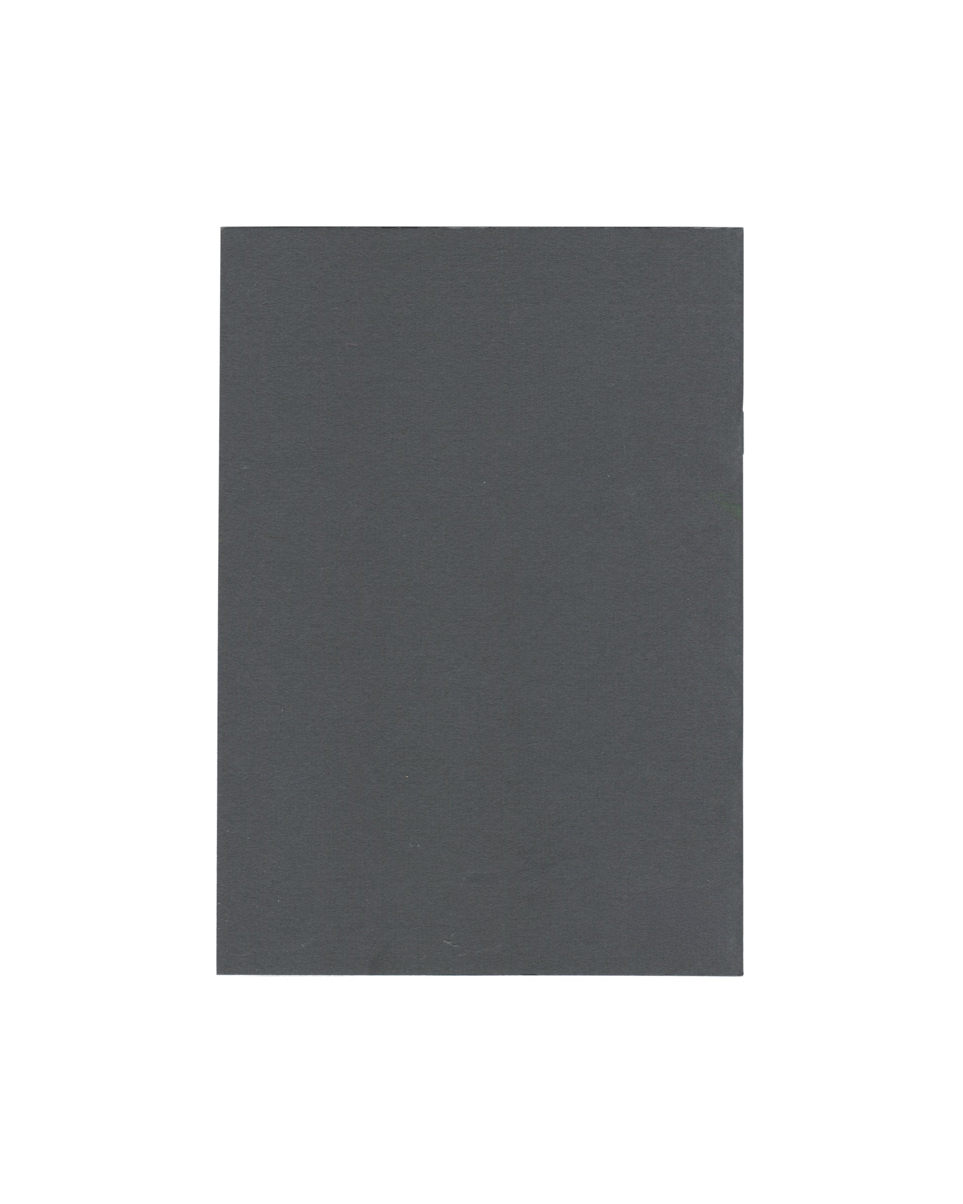 Reverse of Erwin Wurm, Kunstverein in Hamburg / Villa Arson, Nice, 1993, showing a plain dark grey-green cover with no text or imagery.